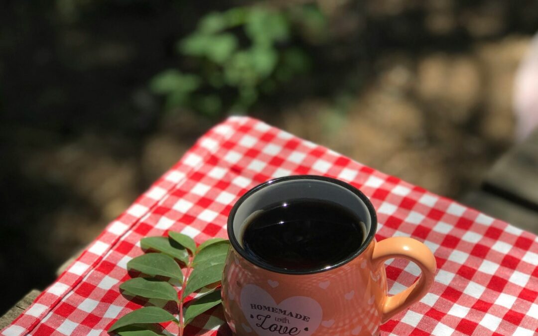 13 Juillet 2025 : Brunch Guinguette