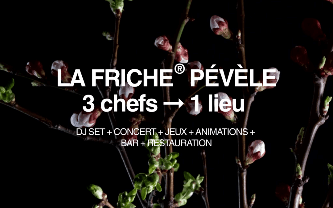 09 juillet 2026 : Friche en Pévèle