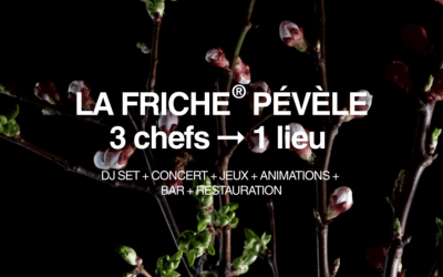 09 juillet 2026 : Friche en Pévèle